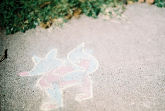 Foxy Chalk Drawing in Pfluger Park